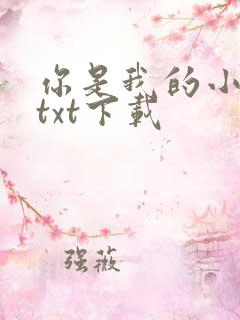 你是我的小确幸txt下载