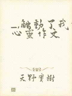 _,触动了我的心灵作文