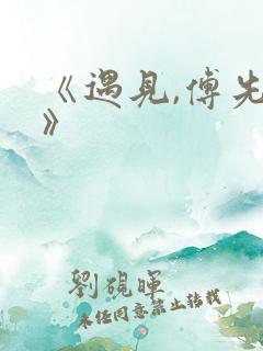 《遇见,傅先生》