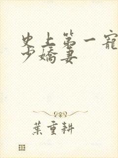 史上第一宠婚慕少娇妻