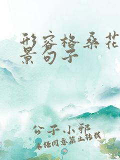 形容格桑花的美景句子