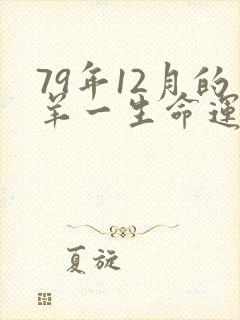 79年12月的羊一生命运