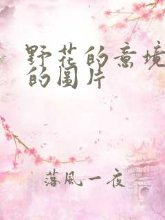 野花的意境唯美的图片