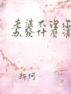 老婆不理你怎么办发什么消息好