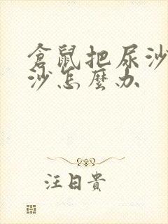 仓鼠把尿沙当浴沙怎么办