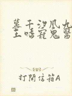 慕千汐凰九夜邪王嗜宠鬼医狂妃无弹窗