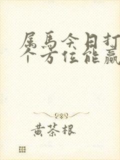 属马今日打牌哪个方位能赢