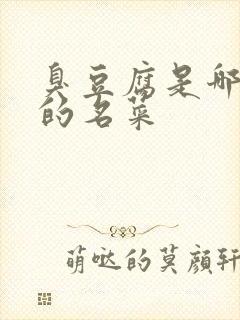 臭豆腐是哪个省的名菜