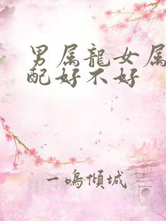 男属龙女属羊相配好不好