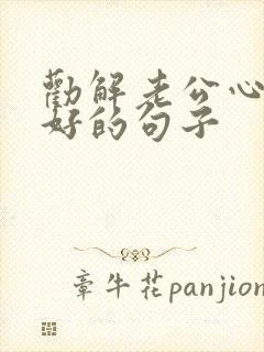 劝解老公心情不好的句子