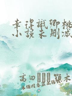 幸得识卿桃花面小说未删减