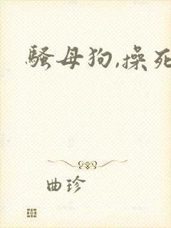 骚母狗,操死你