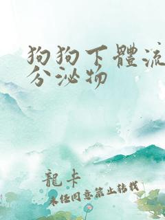 狗狗下体流粘稠分泌物