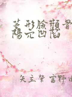 菱形脸颧骨高太阳穴凹陷