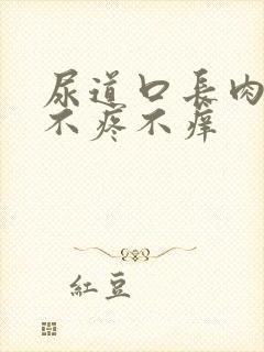 尿道口长肉芽 不疼不痒