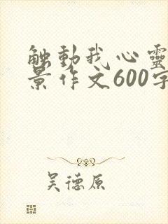 触动我心灵的风景作文600字初中