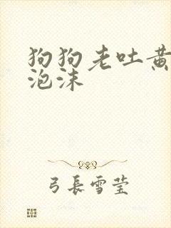 狗狗老吐黄水带泡沫