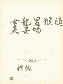 女龙男猴适合做夫妻吗