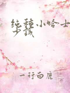 纯种小哈士奇多少钱