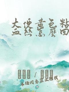 大便黄色粘液带血丝怎么回事