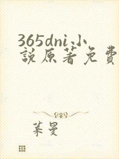 365dni小说原著免费阅读