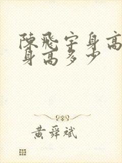 陈飞宇身高真实身高多少