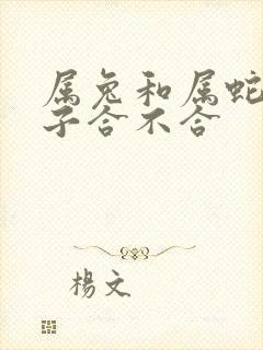 属兔和属蛇的孩子合不合