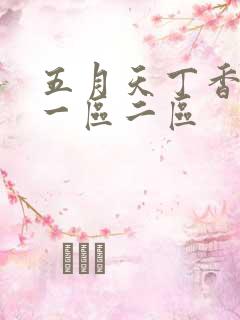 五月天丁香婷婷一区二区
