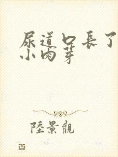 尿道口长了一堆小肉芽