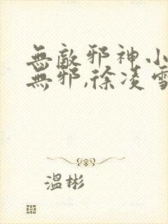 无敌邪神小说柳无邪,徐凌雪 小说