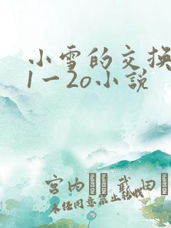 小雪的交换经历1一2o小说