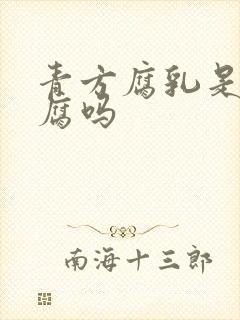 青方腐乳是臭豆腐吗