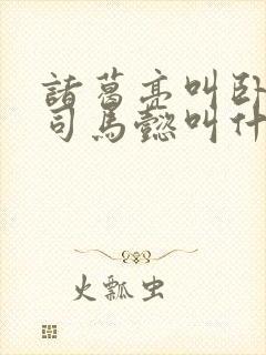 诸葛亮叫卧龙,司马懿叫什么