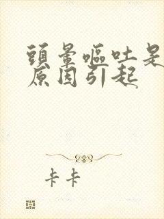 头晕呕吐是什么原因引起