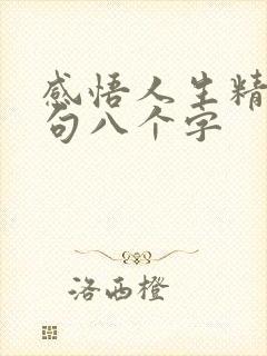 感悟人生精辟短句八个字