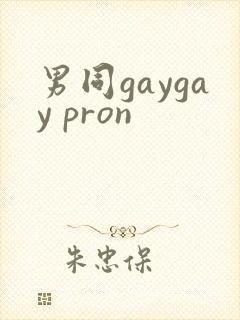 男同gaygay pron