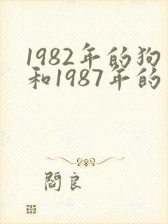 1982年的狗和1987年的兔婚姻好吗