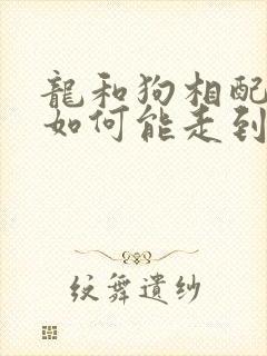 龙和狗相配婚姻如何能走到最后吗?
