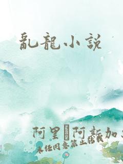 乱龙小说