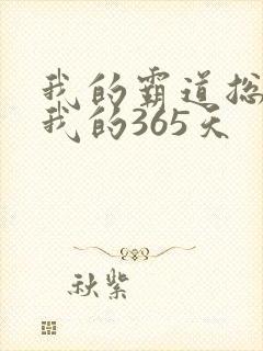 我的霸道总裁和我的365天