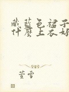 藏蓝色裙子搭配什么上衣好看