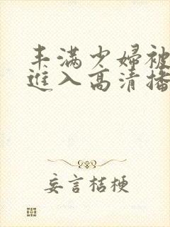 丰满少妇被猛烈进入高清播放小说