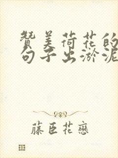 赞美荷花的优美句子出淤泥而不染