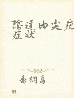 阴道内尖疣湿锐症状