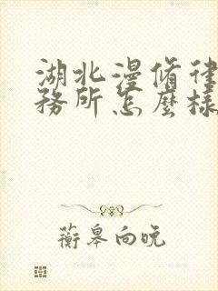 湖北漫修律师事务所怎么样