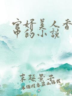 官婿美人香刘志中的小说