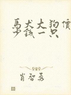 马犬大狗价格多少钱一只