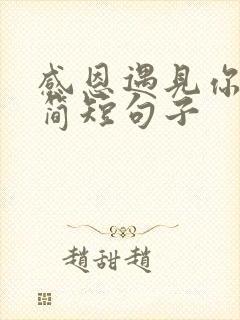 感恩遇见你们的简短句子