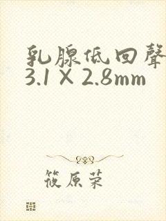 乳腺低回声结节3.1×2.8mm