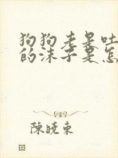 狗狗老是吐白色的沫子是怎么回事